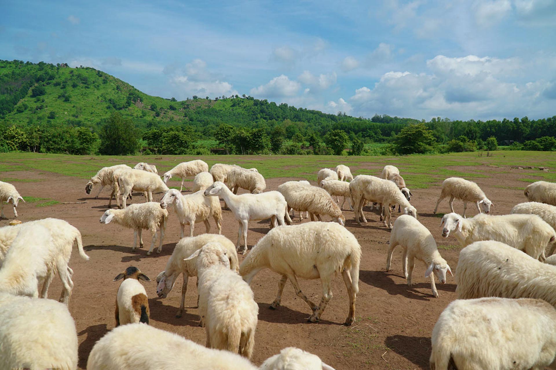 cam-nang-du-lich-ba-ria-vung-tau