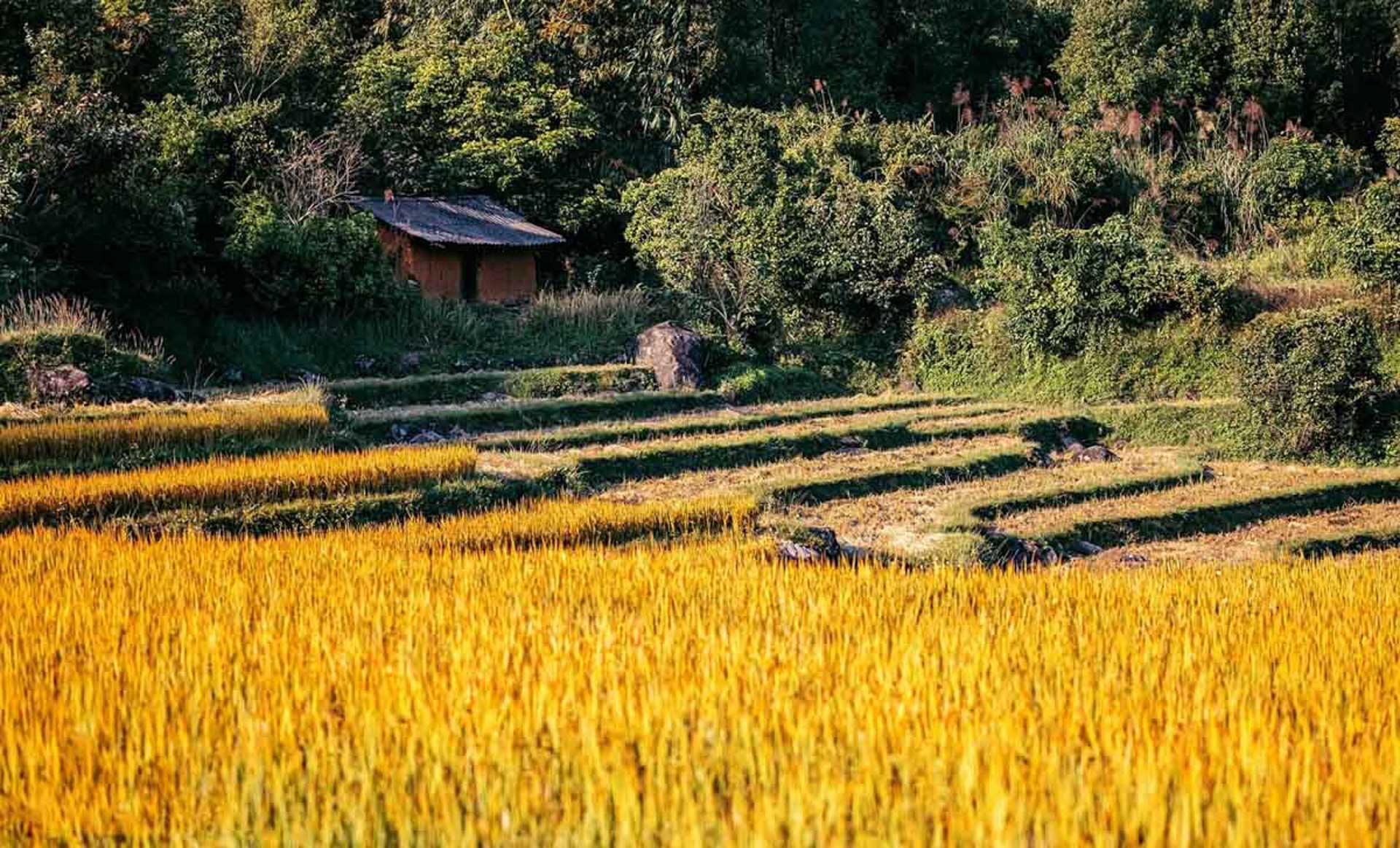 cam-nang-du-lich-binh-lieu