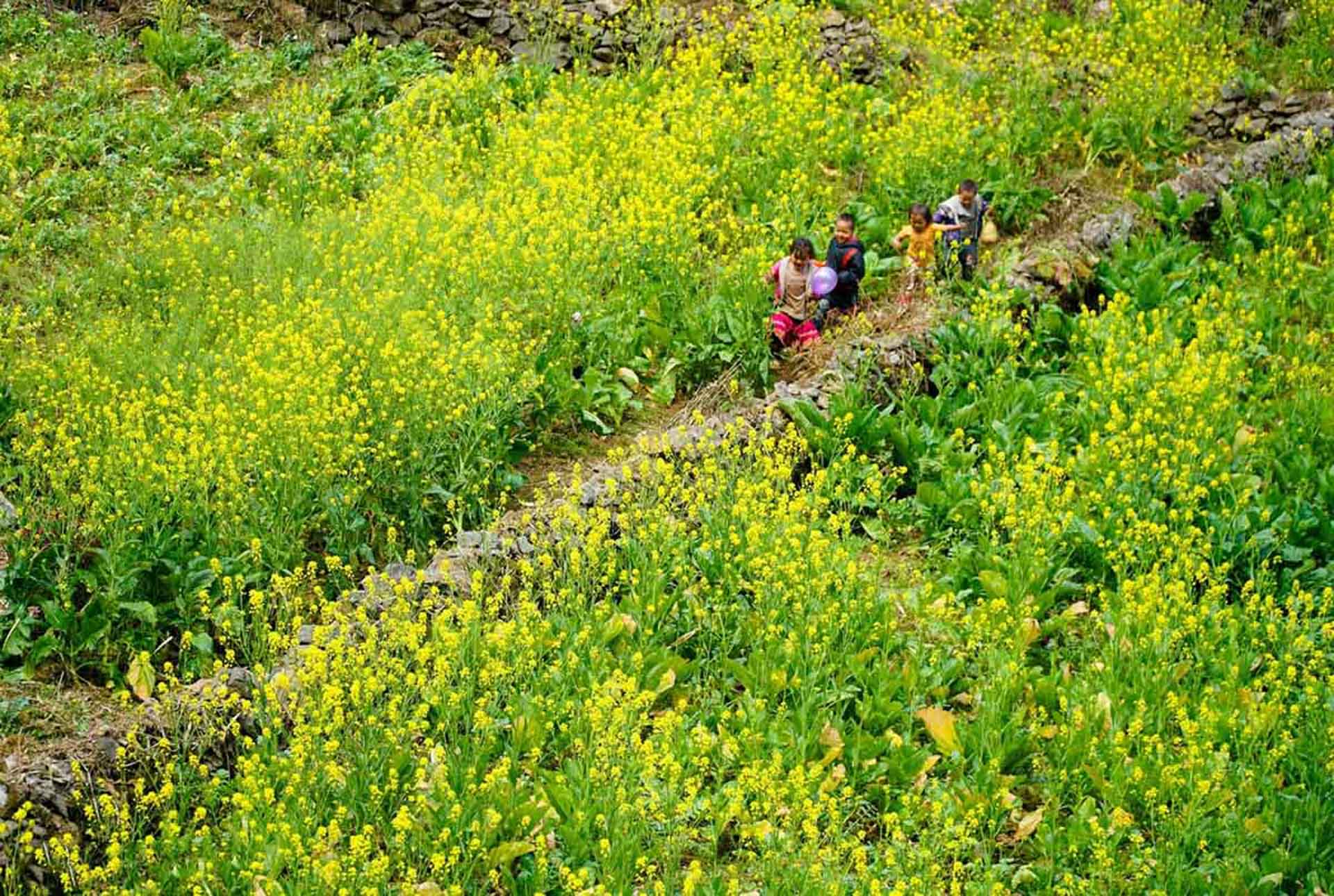 cam-nang-du-lich-ha-giang