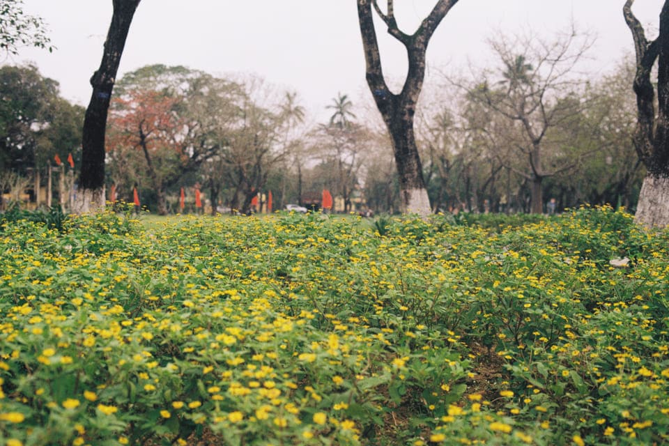 An trú trong hiện tại | Chương 01