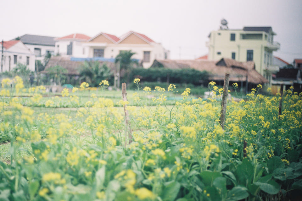 Cẩm nang du lịch Đà Lạt