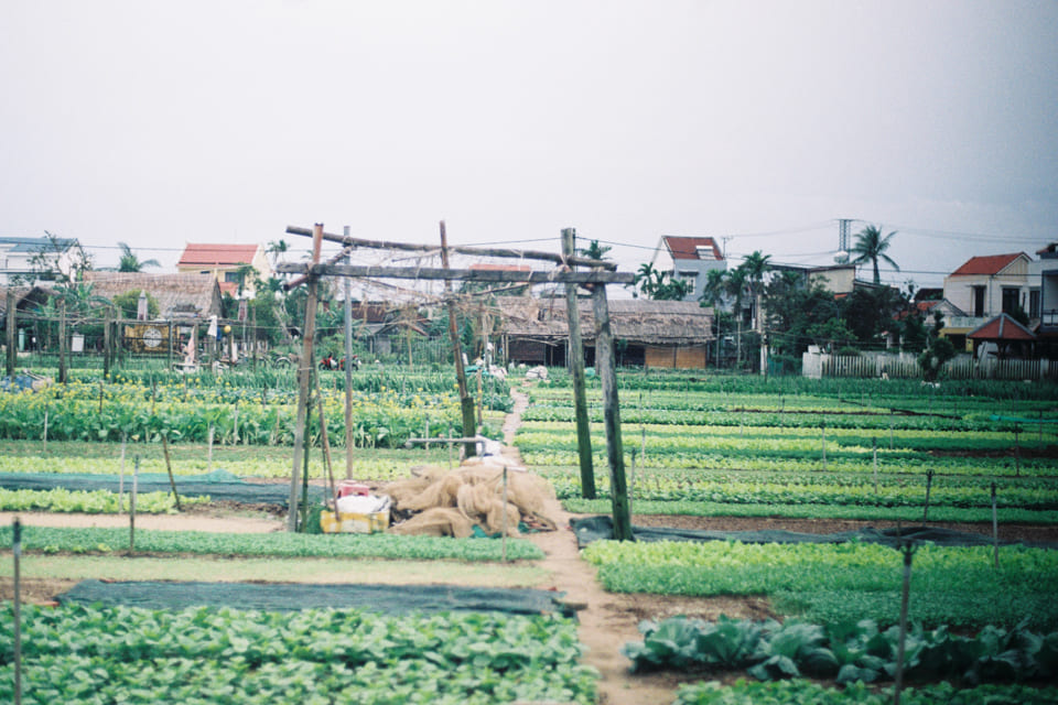 Cẩm nang du lịch Phú Quý