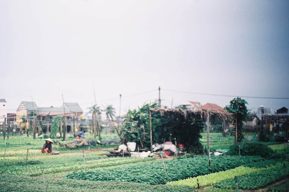 Cẩm nang du lịch Đền Hùng