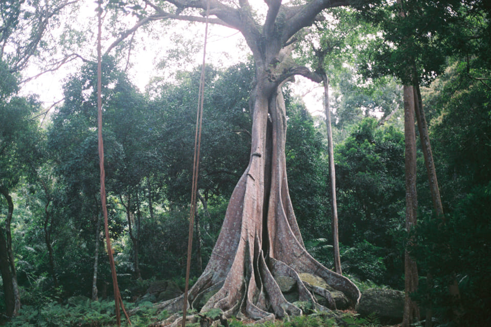 Cẩm nang du lịch Quảng Ninh